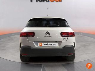 Citroën C4 Cactus PureTech 110 S&S Shine