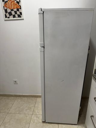 Nevera Beko Blanca 160cm
