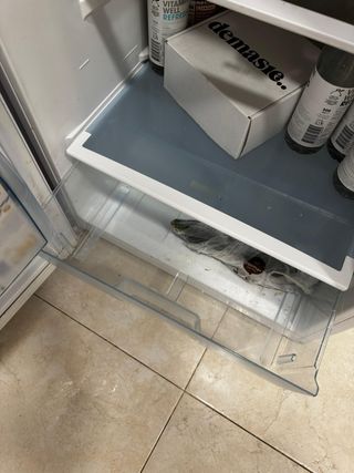 Nevera Beko Blanca 160cm