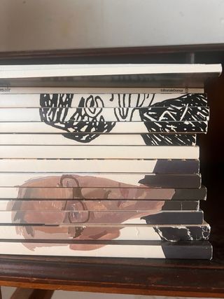 Revistas DOMUS 2020/2021– Individual y Lotes