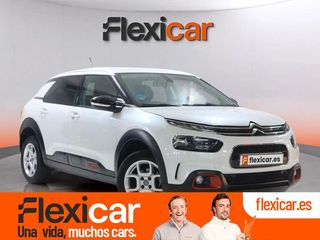 Citroën C4 Cactus PureTech 110 S&S Shine