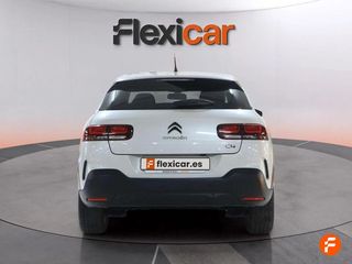 Citroën C4 Cactus PureTech 110 S&S Shine