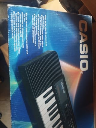 Casio Tone Bank C-110 Teclado
