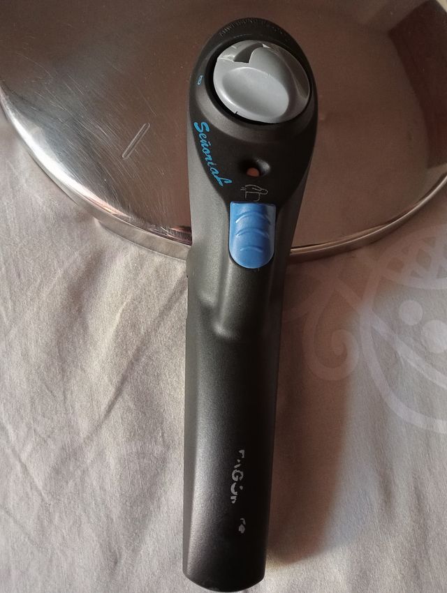 Olla Rápida Fagor 6L