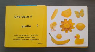Libro per bambini Il meraviglioso mondo dei colori
