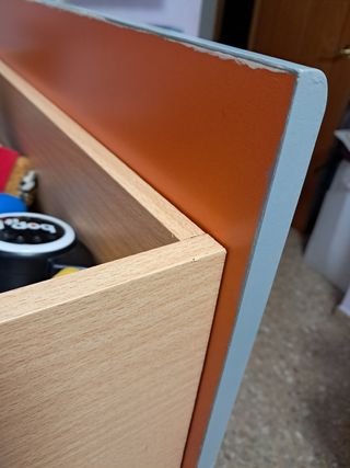 Cama litera tren con armario y cajones