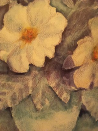 Acquerello autentico con cornice