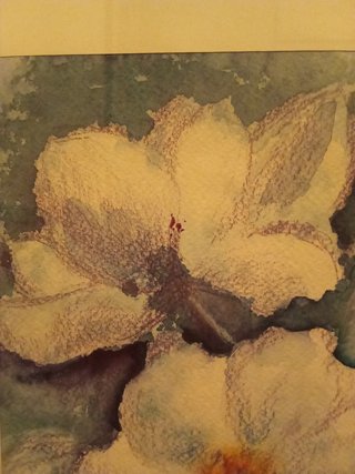 Acquerello autentico con cornice