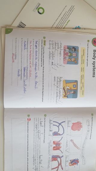 Think Do Learn Natural Sciences 4th Primary. Ac...