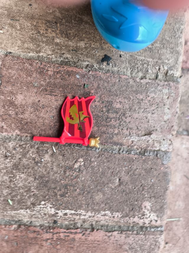 Bandera Pirata Roja y Dorada