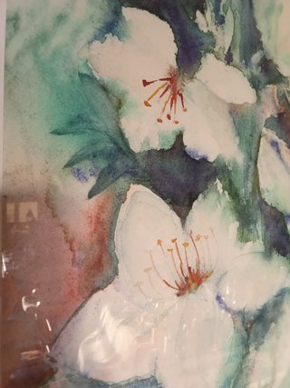 Acquerello autentico con cornice