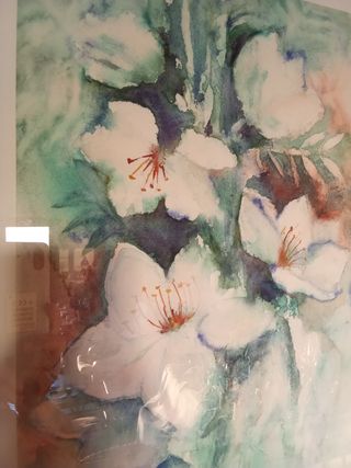 Acquerello autentico con cornice