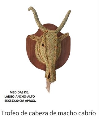 Trofeo Cabeza Rinoceronte Esparto