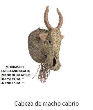 Cabeza de macho cabrio