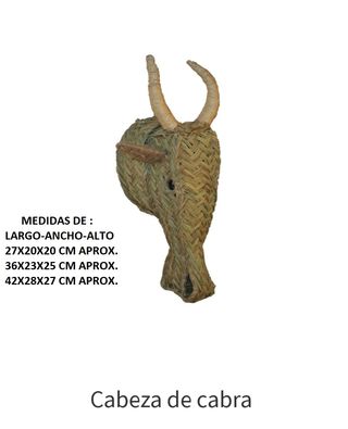 Cabeza de macho cabrio