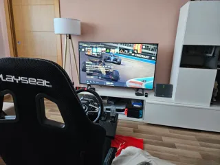 Playseat Alcántara + Volante Thrustmaster