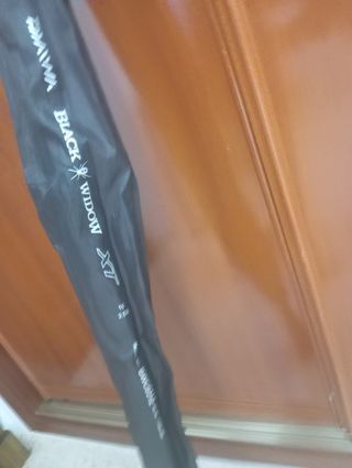 Caña Daiwa Black Widow 10ft 3.5lb