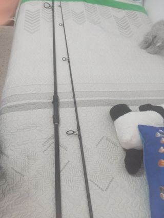 Caña Daiwa Black Widow 10ft 3.5lb