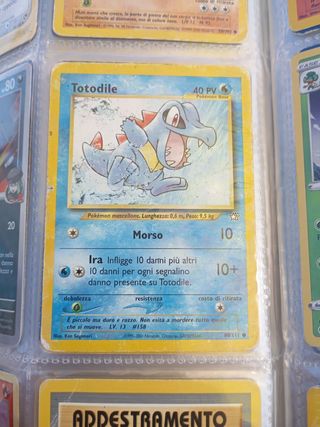 Carta Pokemon Totodile 80/111