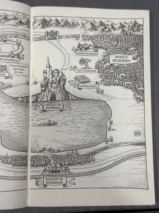 Harry Potter y la piedra filosofal (Harry Potte...