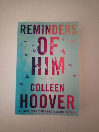 Reminders of Him: A Novel