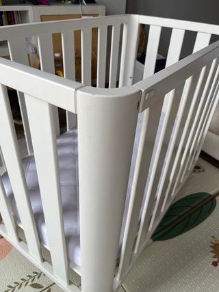 Minicuna Doco Cotinfant