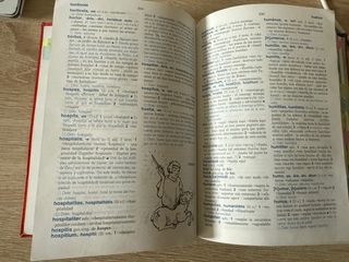 Diccionario Latín (Spanish Edition)