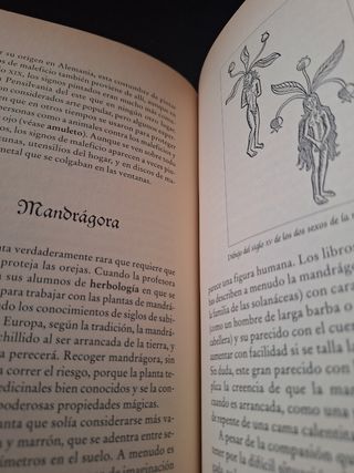 El Diccionario del Mago