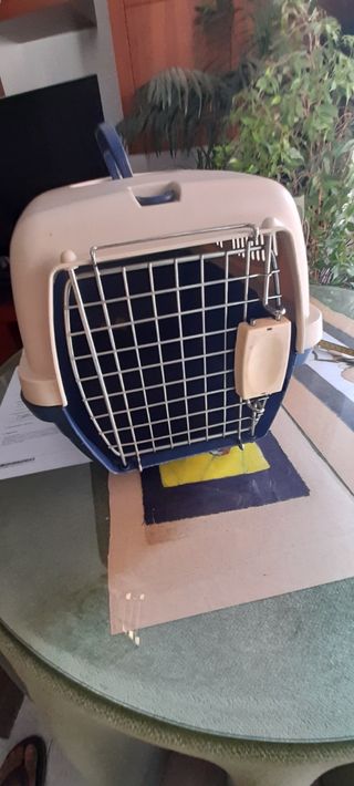 Transportín para gato o perro