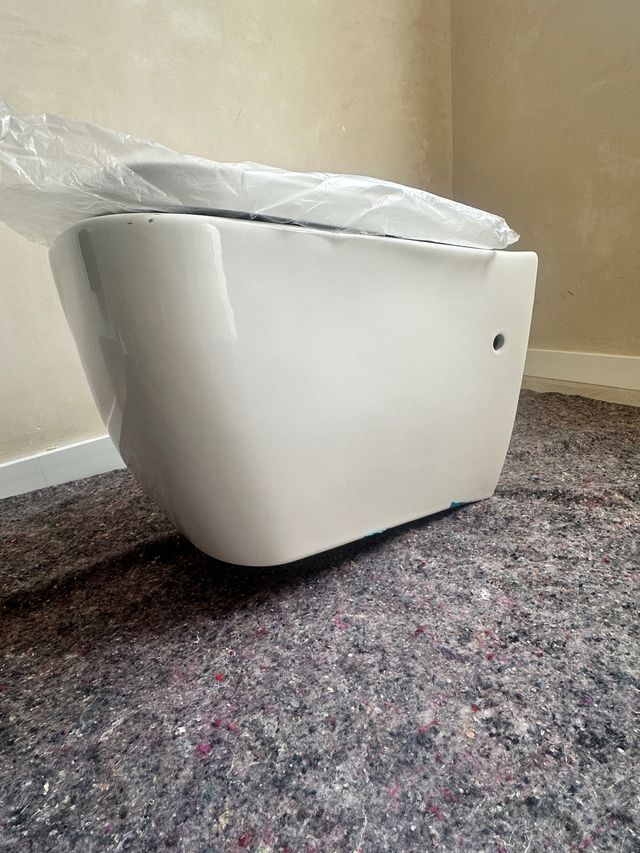 Inodoro Suspendido Blanco Porcelana