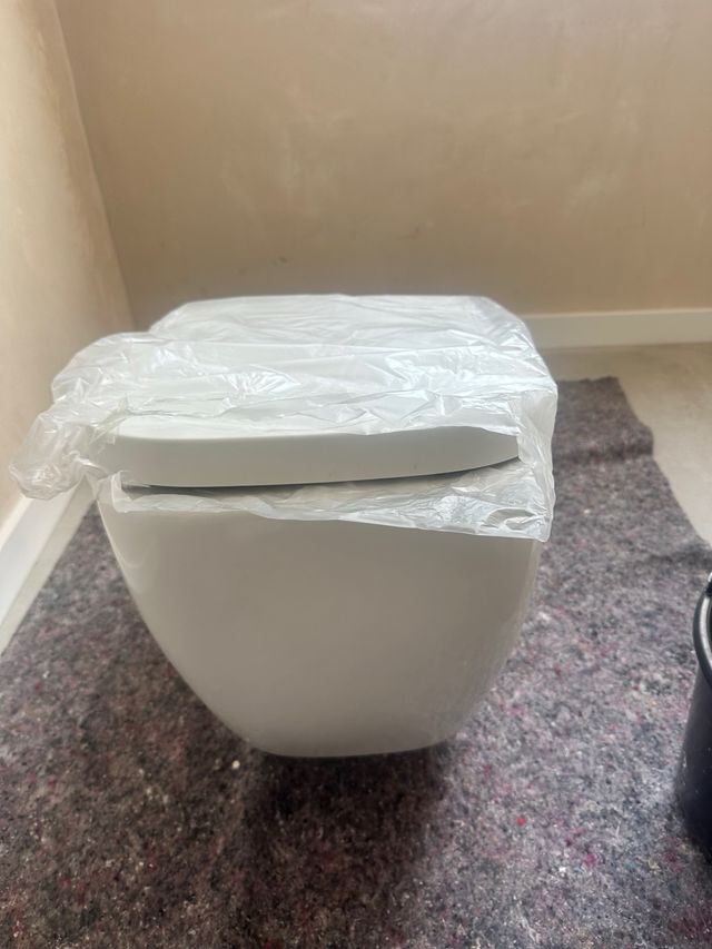 Inodoro Suspendido Blanco Porcelana