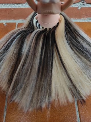 Muñeca Bratz Cloe Play Sportz Skateboard y Roxie