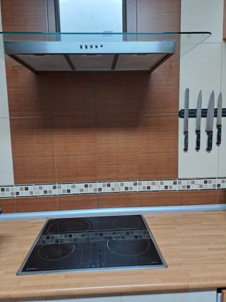 Campana extractora de cocina