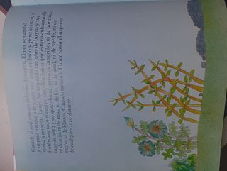 Elmer. Un cuento - Elmer (Spanish Edition)