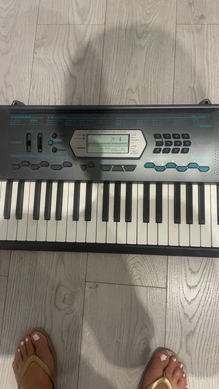 Órgano Electrónico Casio