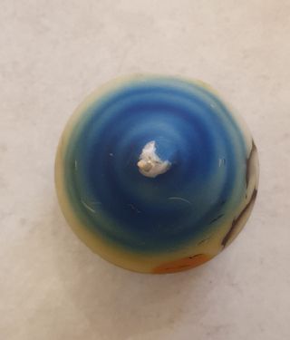 Candela decorativa con delfini