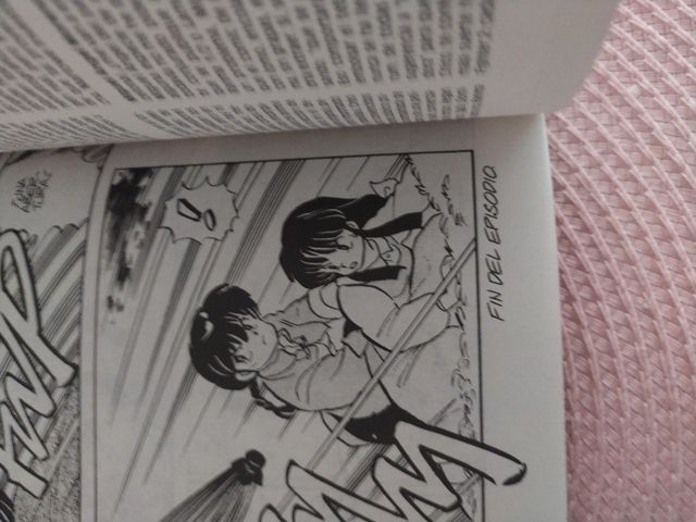 Ranma 1/2 Rumiko Takahashi número 6