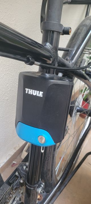 Silla de bici Thule Ridealong para niños