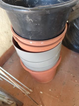 Macetas y Plantas de diferentes tipos.
