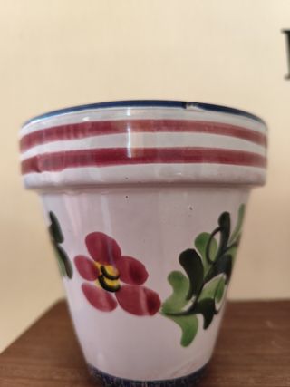 Macetas y Plantas de diferentes tipos.