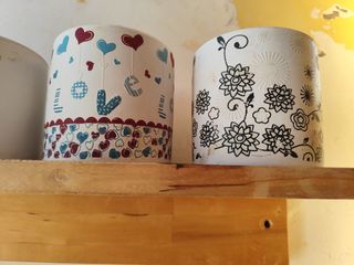 Macetas y Plantas de diferentes tipos.