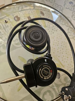 Cazuela Eléctrica Horno