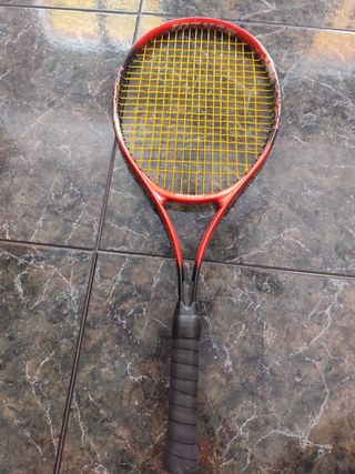 Raqueta Dunlop Power Flex 102
