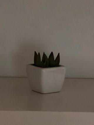 Planta pequeña de plástico