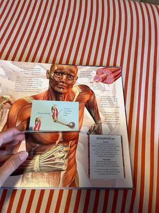 El cuerpo humano (Lupa mágica) (Spanish Edition)