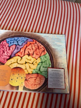 El cuerpo humano (Lupa mágica) (Spanish Edition)