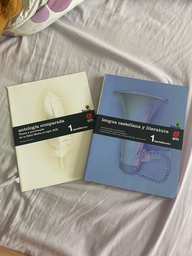 Lengua Castellana y Literatura. 1bachillerato