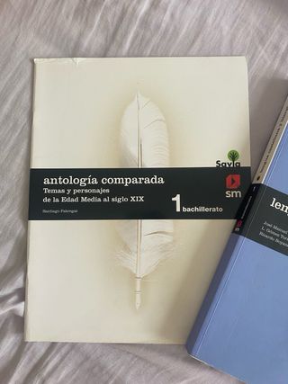 Lengua Castellana y Literatura. 1bachillerato