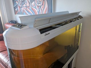 Precioso Acuario curvo de 240L