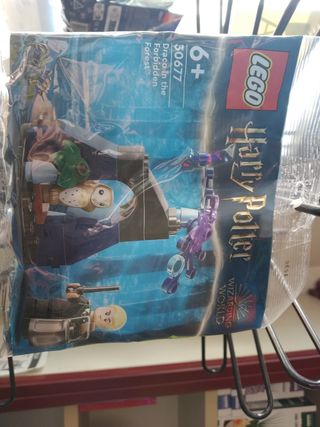 Lego Harry Potter 30677 Busta